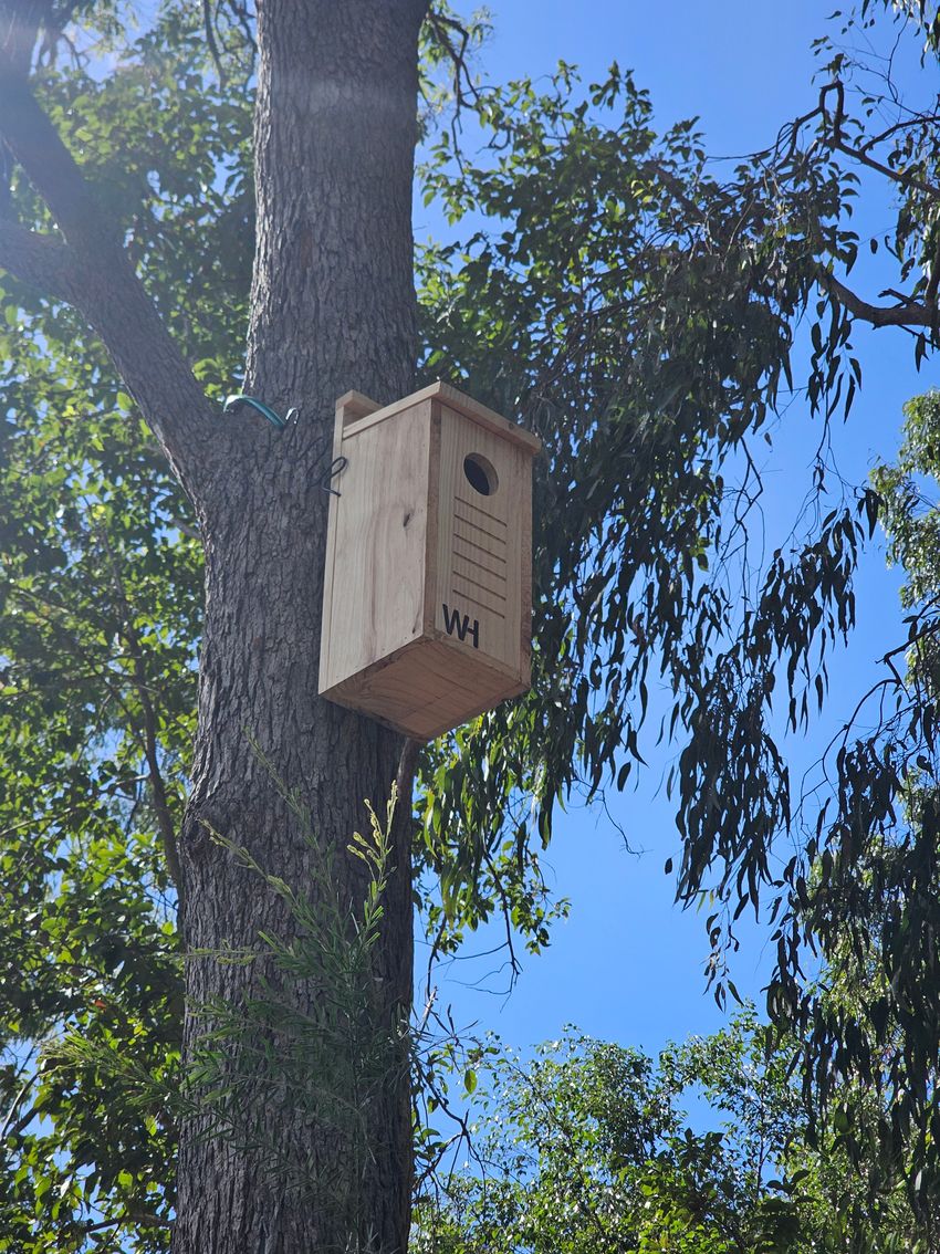 Wing Haven box installed against blue sky