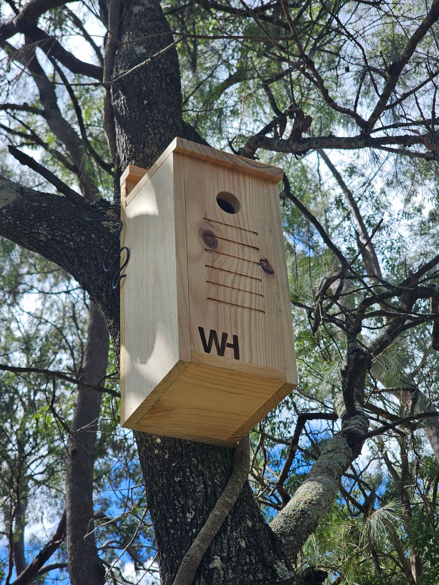 Handmade Wing Haven WH nest box mounted in a tree